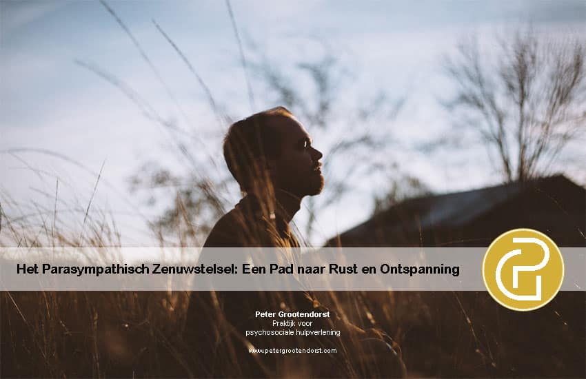 Afbeelding: Het parasympatisch zenuwstelsel: Een pad naar rust en ontspanning